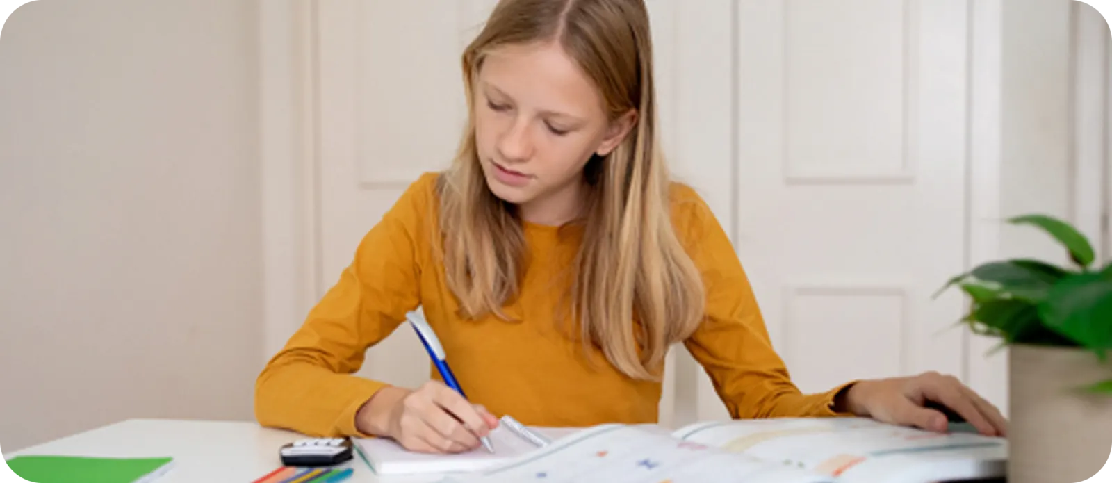 Higher-Order Reasoning & Advanced Logic