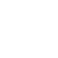 Play icon